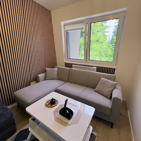 Apartamento Forest - *
