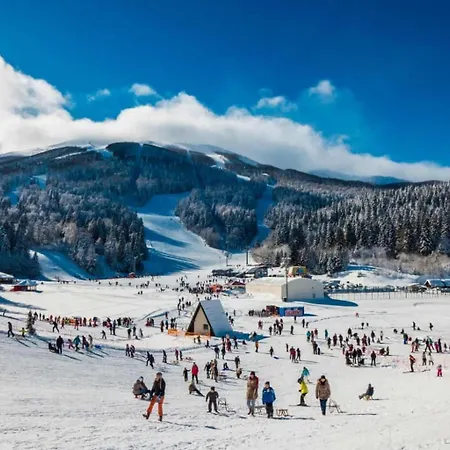 Forest - * Bjelašnica